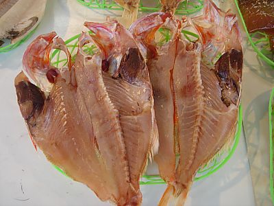 干物