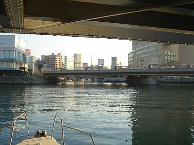 海