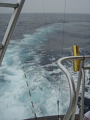 BOL・カジキ釣り020(二日目・三宅島)