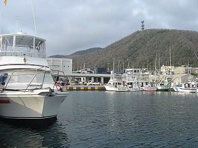 日記