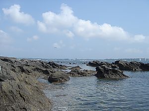 佐島・天神島臨海自然教育園011