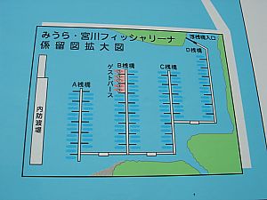 みうら・宮川フィッシャリーナ016