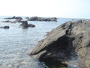 佐島・天神島臨海自然教育園010