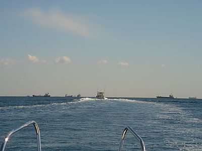 海
