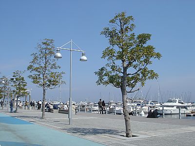 海