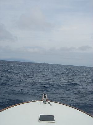 BOL・カジキ釣り014(一日目・三宅島)