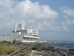 佐島・天神島臨海自然教育園017