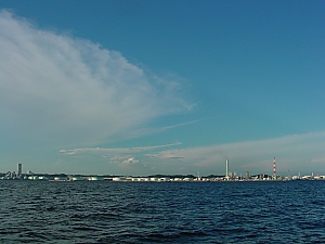 海