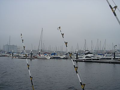 BOL・カジキ釣り002(一日目・三宅島)