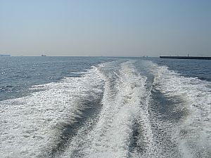 朝に海へ