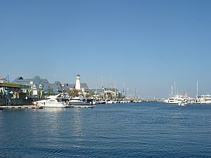 海