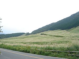 箱根の仙石原・千石原001