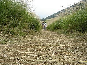 箱根の仙石原・千石原002