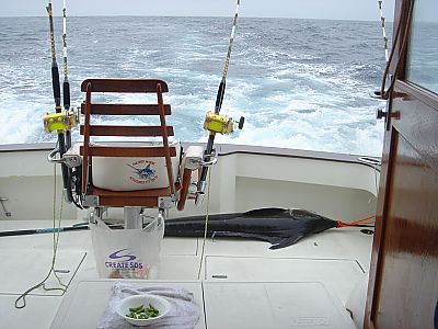 BOL・カジキ釣り021(二日目・三宅島)