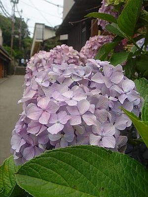 江ノ島002