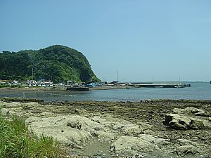 みうら・宮川フィッシャリーナ003