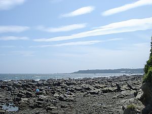 みうら・宮川フィッシャリーナ012