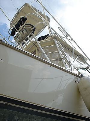 クルーザー001