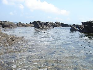 佐島・天神島臨海自然教育園009