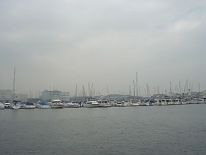 魚群探知機を使って鯖ゲット