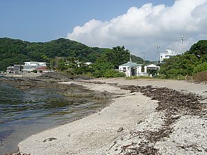 佐島・天神島臨海自然教育園022