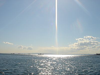 海