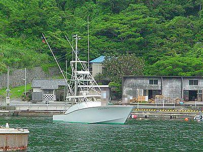 BOL・カジキ釣りxyx(二日目・三宅島)