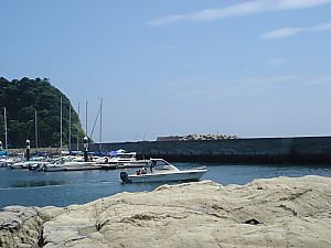 みうら・宮川フィッシャリーナ007