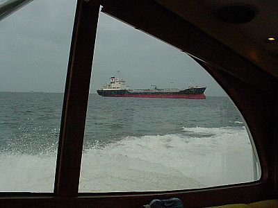 BOL・カジキ釣りxxz(二日目・三宅島)