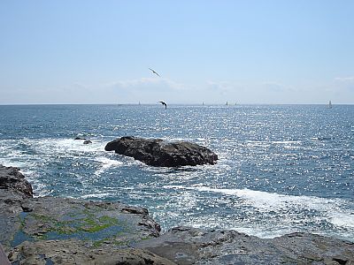 江ノ島011