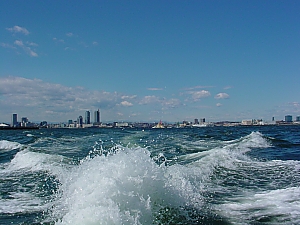 海