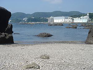 佐島・天神島臨海自然教育園021