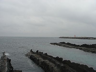 まぐろづくし001