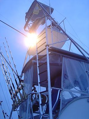 BOL・カジキ釣り001(一日目・三宅島)