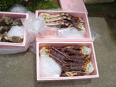 バーベキュー002