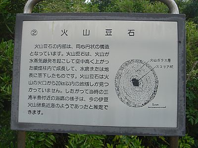 磯遊び003