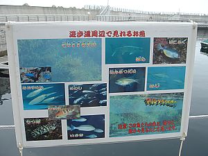 伊東マリンタウン・伊東サンライズマリーナ031