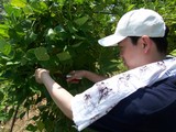 飯田1