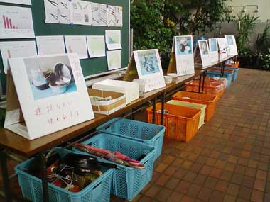 リサイクル広場 回収カゴ