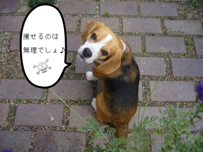 BlogPaint