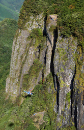 TKY200909200168