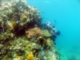 545e161d.jpg