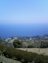 7fd11716.jpg