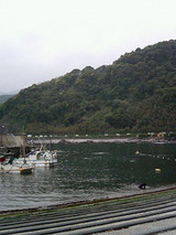 cdce90ac.jpg