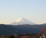 d1642a00.jpg