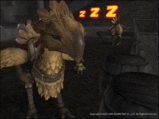 Chocobo's