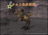 Chocobo's6
