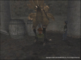 Chocobo's