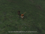 060504015913a.gif