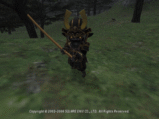 060504015956a.gif